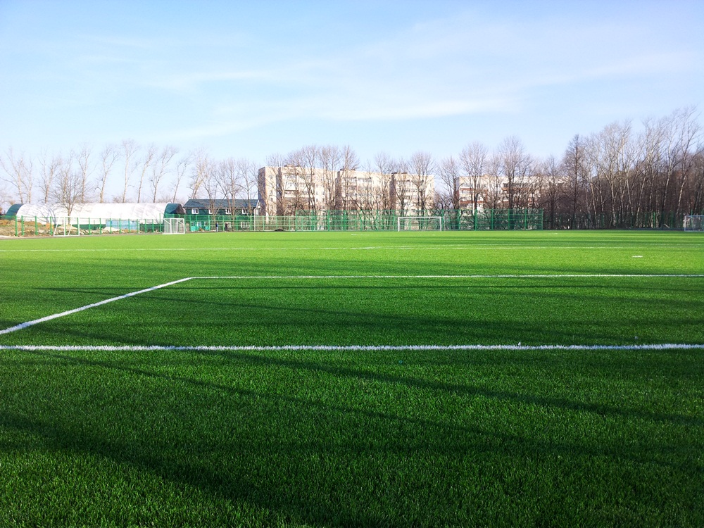 Искусственный газон EcoGrass 60 мм