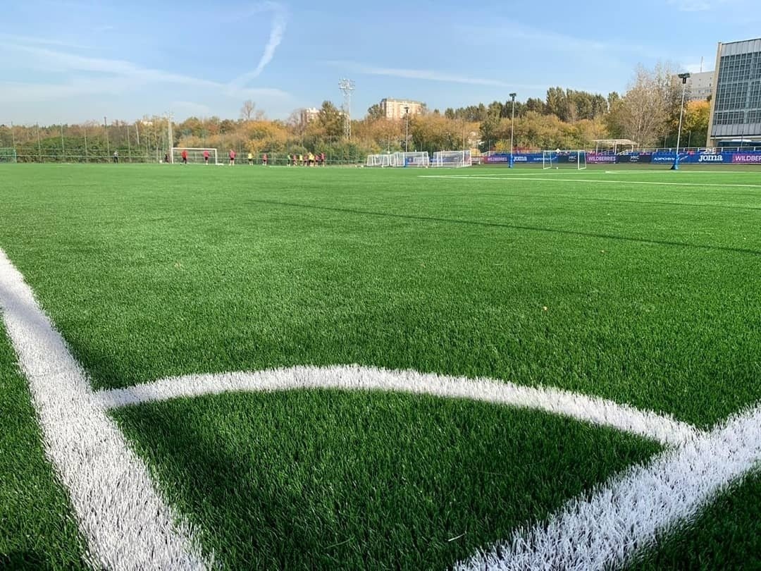 Искусственный газон EcoGrass 50 мм