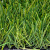 Искусственный газон EcoGrass 60 мм